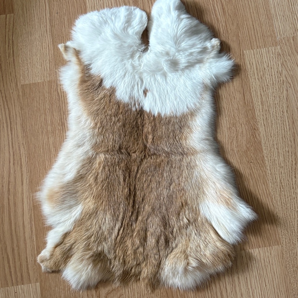A264 Brown & White Rabbit Fur Pelt for Crafts and Display